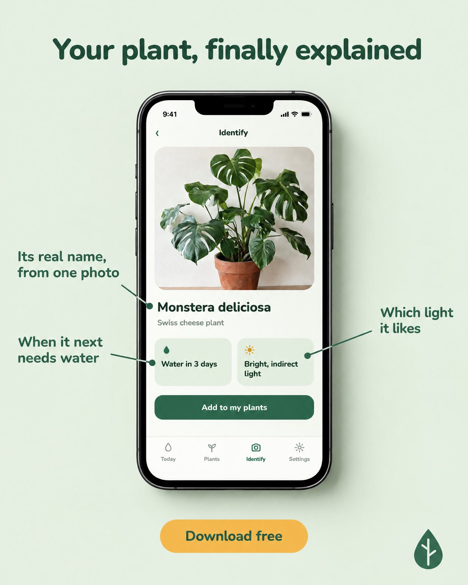A phone showing the Thirstleaf plant screen, with labels pointing to its name, its watering and its light. It reads: Your plant, finally explained. Its real name, from one photo. When it next needs water. Which light it likes. Download free.
