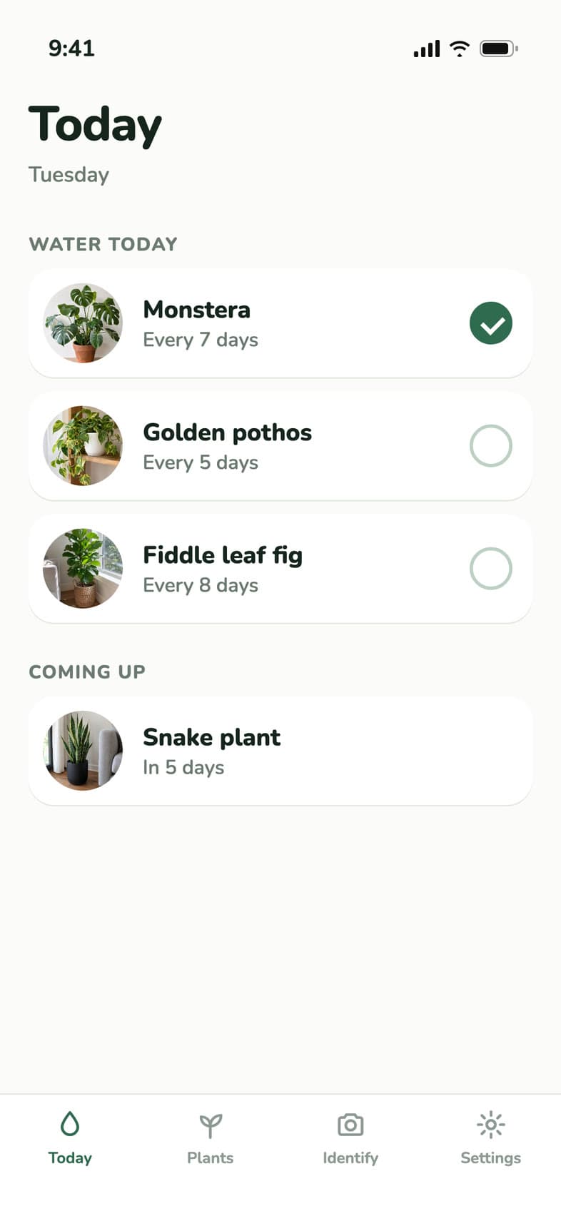 The Thirstleaf app's Today screen.